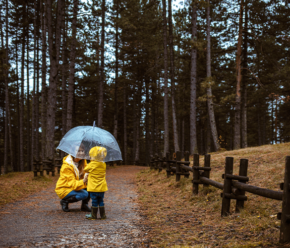 Umbrella Insurance